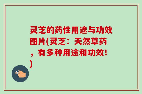 灵芝的用途与功效图片(灵芝：天然草药，有多种用途和功效！)