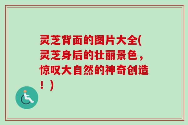 灵芝背面的图片大全(灵芝身后的壮丽景色,惊叹大自然的神奇创造!) 灵芝背面的图片大全(灵芝身后的壮丽景色,惊叹大自然的神奇创造!)