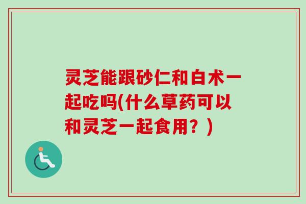 灵芝能跟砂仁和白术一起吃吗(什么草药可以和灵芝一起食用?) 灵芝能跟砂仁和白术一起吃吗(什么草药可以和灵芝一起食用?)