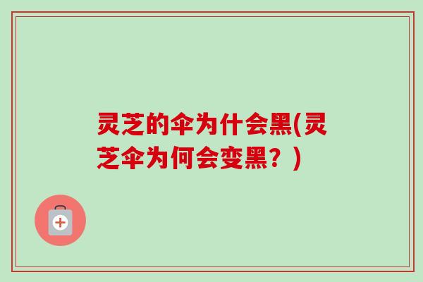 灵芝的伞为什会黑(灵芝伞为何会变黑?) 灵芝的伞为什会黑(灵芝伞为何会变黑?)