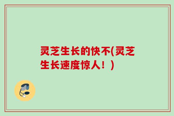灵芝生长的快不(灵芝生长速度惊人！)