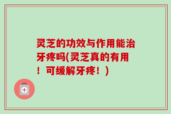 灵芝的功效与作用能牙疼吗(灵芝真的有用!可缓解牙疼!) 灵芝的功效与作用能牙疼吗(灵芝真的有用!可缓解牙疼!)
