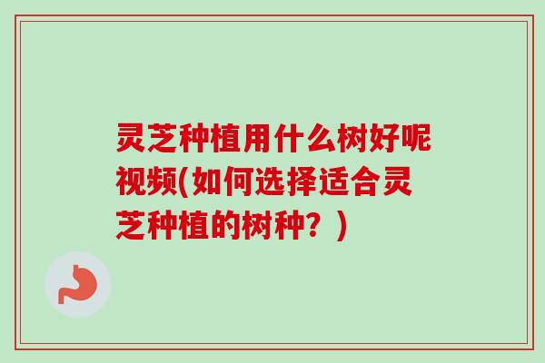 灵芝种植用什么树好呢视频(如何选择适合灵芝种植的树种？)