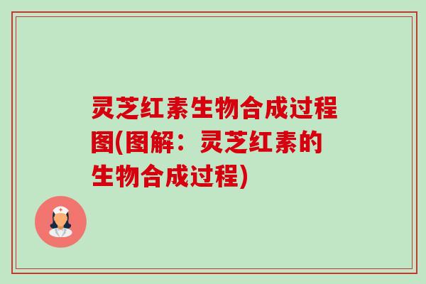 灵芝红素生物合成过程图(图解:灵芝红素的生物合成过程) 灵芝红素生物合成过程图(图解:灵芝红素的生物合成过程)