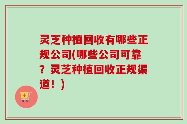 灵芝种植回收有哪些正规公司(哪些公司可靠?灵芝种植回收正规渠道!) 灵芝种植回收有哪些正规公司(哪些公司可靠?灵芝种植回收正规渠道!)