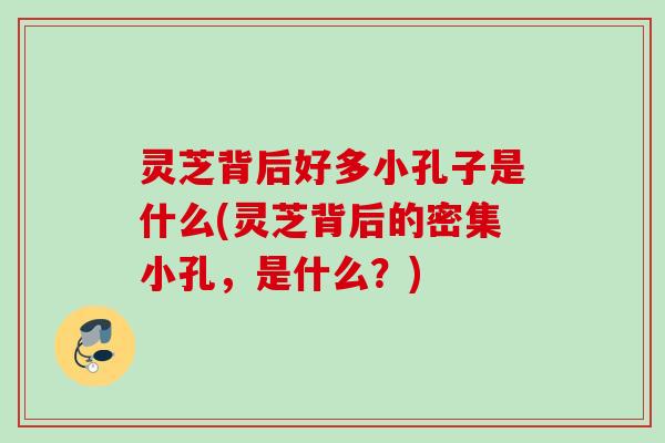 灵芝背后好多小孔子是什么(灵芝背后的密集小孔,是什么?) 灵芝背后好多小孔子是什么(灵芝背后的密集小孔,是什么?)