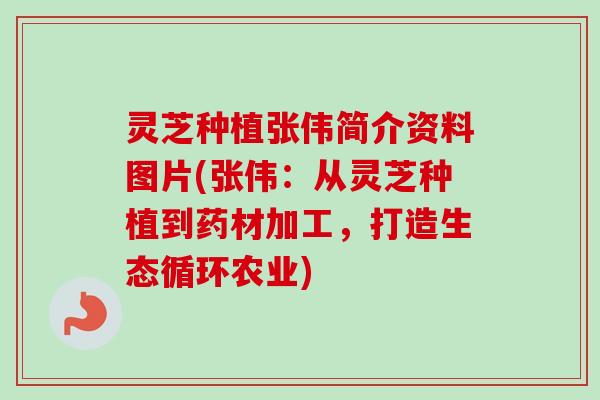 灵芝种植张伟简介资料图片(张伟:从灵芝种植到药材加工,打造生态循环农业) 灵芝种植张伟简介资料图片(张伟:从灵芝种植到药材加工,打造生态循环农业)