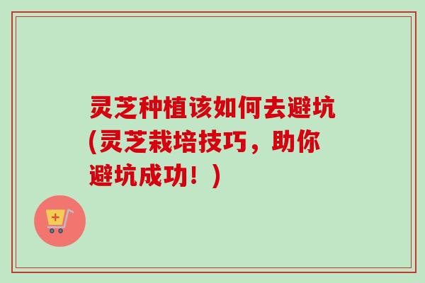 灵芝种植该如何去避坑(灵芝栽培技巧,助你避坑成功!) 灵芝种植该如何去避坑(灵芝栽培技巧,助你避坑成功!)