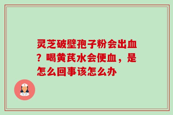灵芝破壁孢子粉会出?喝黄芪水会便,是怎么回事该怎么办 灵芝破壁孢子粉会出?喝黄芪水会便,是怎么回事该怎么办