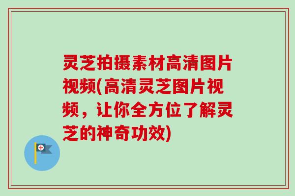 灵芝拍摄素材高清图片视频(高清灵芝图片视频,让你全方位了解灵芝的神奇功效) 灵芝拍摄素材高清图片视频(高清灵芝图片视频,让你全方位了解灵芝的神奇功效)