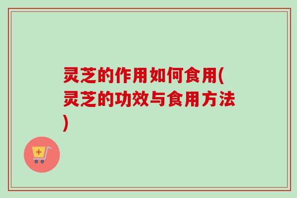 灵芝的作用如何食用(灵芝的功效与食用方法)