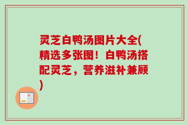 灵芝白鸭汤图片大全(精选多张图！白鸭汤搭配灵芝，营养滋补兼顾)