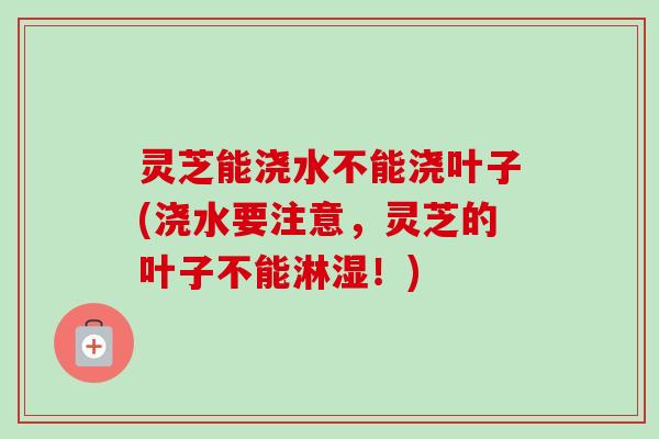 灵芝能浇水不能浇叶子(浇水要注意，灵芝的叶子不能淋湿！)