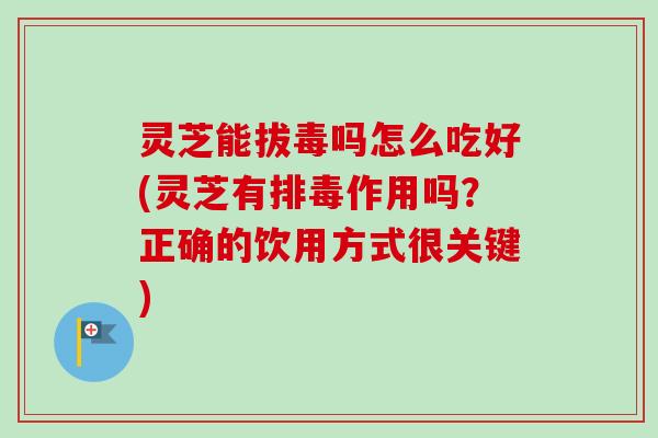 灵芝能拔毒吗怎么吃好(灵芝有作用吗?正确的饮用方式很关键) 灵芝能拔毒吗怎么吃好(灵芝有作用吗?正确的饮用方式很关键)