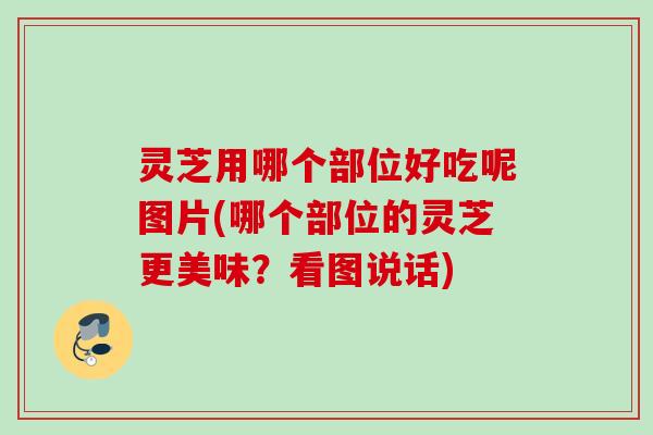 灵芝用哪个部位好吃呢图片(哪个部位的灵芝更美味?看图说话) 灵芝用哪个部位好吃呢图片(哪个部位的灵芝更美味?看图说话)