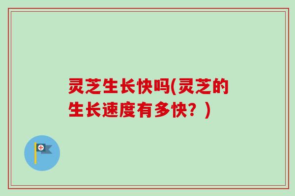 灵芝生长快吗(灵芝的生长速度有多快?) 灵芝生长快吗(灵芝的生长速度有多快?)