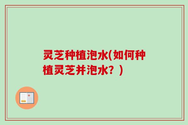灵芝种植泡水(如何种植灵芝并泡水?) 灵芝种植泡水(如何种植灵芝并泡水?)