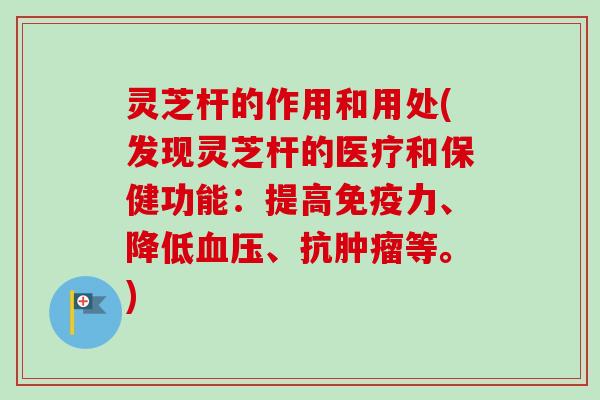 灵芝杆的作用和用处(发现灵芝杆的医疗和保健功能:提高免疫力、降低、抗等。) 灵芝杆的作用和用处(发现灵芝杆的医疗和保健功能:提高免疫力、降低、抗等。)