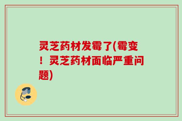 灵芝药材发霉了(霉变！灵芝药材面临严重问题)