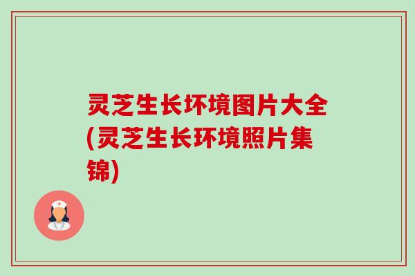 灵芝生长坏境图片大全(灵芝生长环境照片集锦)