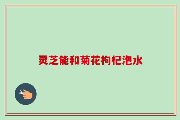 灵芝能和菊花枸杞泡水 灵芝能和菊花枸杞泡水