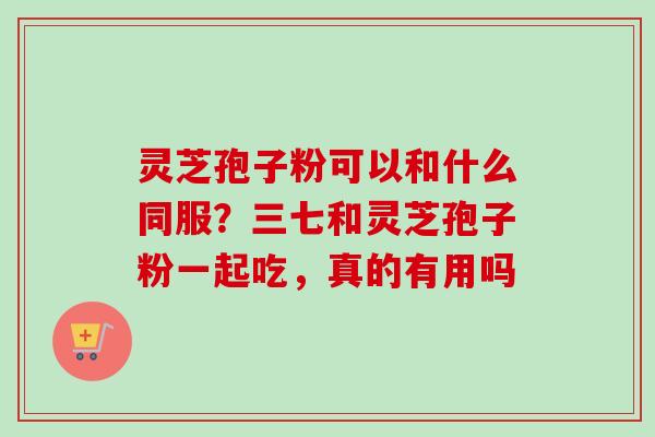 灵芝孢子粉可以和什么同服？三七和灵芝孢子粉一起吃，真的有用吗