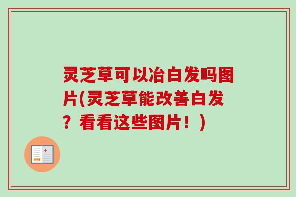 灵芝草可以冶白发吗图片(灵芝草能改善白发？看看这些图片！)