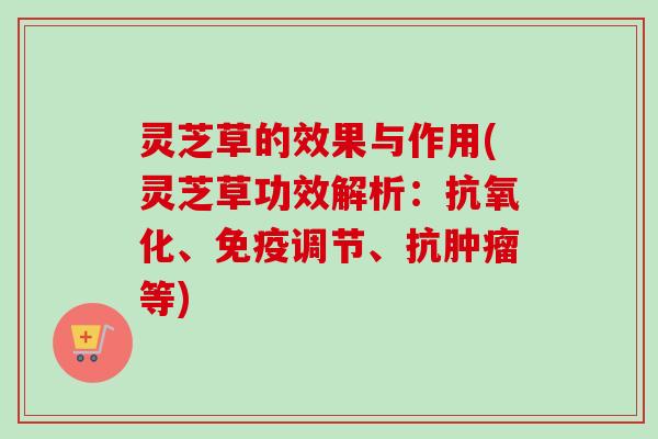 灵芝草的效果与作用(灵芝草功效解析：、免疫调节、抗等)