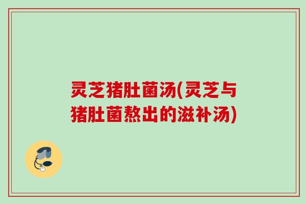 灵芝猪肚菌汤(灵芝与猪肚菌熬出的滋补汤)