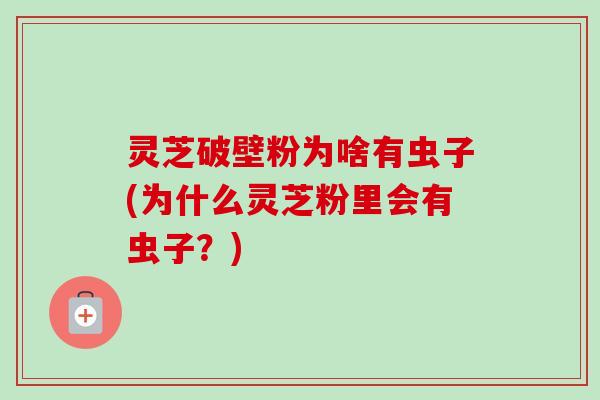 灵芝破壁粉为啥有虫子(为什么灵芝粉里会有虫子?) 灵芝破壁粉为啥有虫子(为什么灵芝粉里会有虫子?)