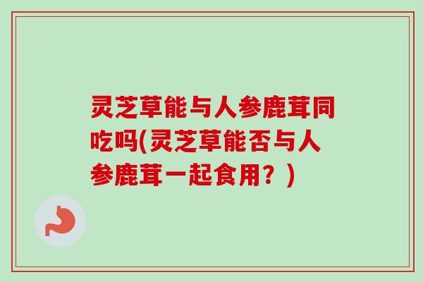 灵芝草能与人参鹿茸同吃吗(灵芝草能否与人参鹿茸一起食用?) 灵芝草能与人参鹿茸同吃吗(灵芝草能否与人参鹿茸一起食用?)