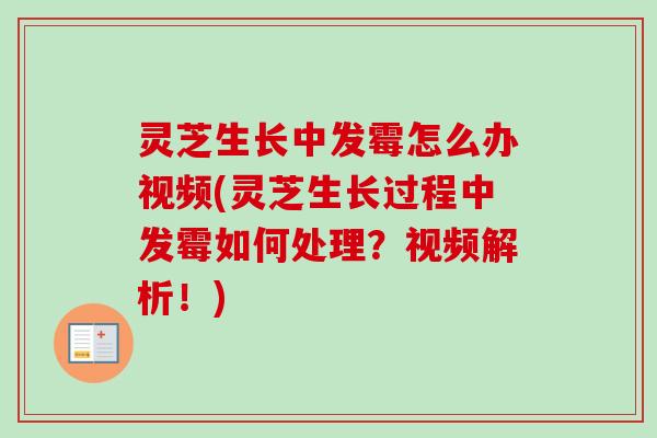 灵芝生长中发霉怎么办视频(灵芝生长过程中发霉如何处理?视频解析!) 灵芝生长中发霉怎么办视频(灵芝生长过程中发霉如何处理?视频解析!)