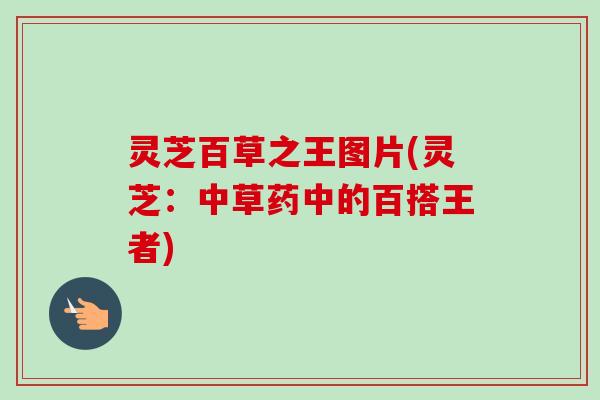 灵芝百草之王图片(灵芝：中草药中的百搭王者)