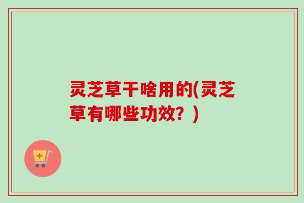 灵芝草干啥用的(灵芝草有哪些功效？)