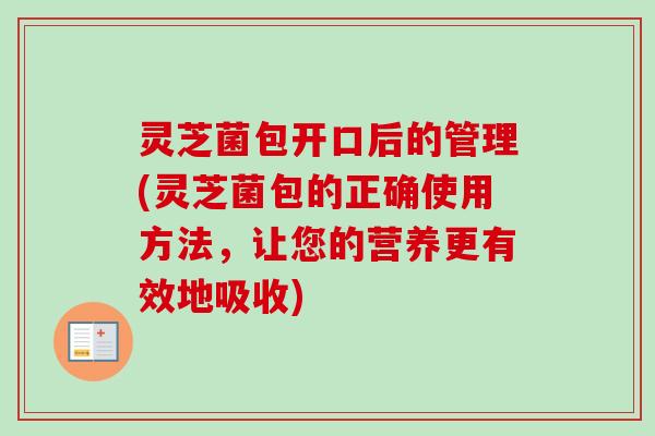 灵芝菌包开口后的管理(灵芝菌包的正确使用方法,让您的营养更有效地吸收) 灵芝菌包开口后的管理(灵芝菌包的正确使用方法,让您的营养更有效地吸收)