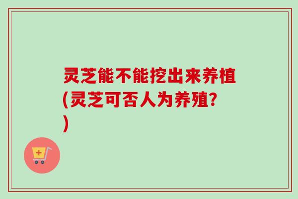 灵芝能不能挖出来养植(灵芝可否人为养殖？)