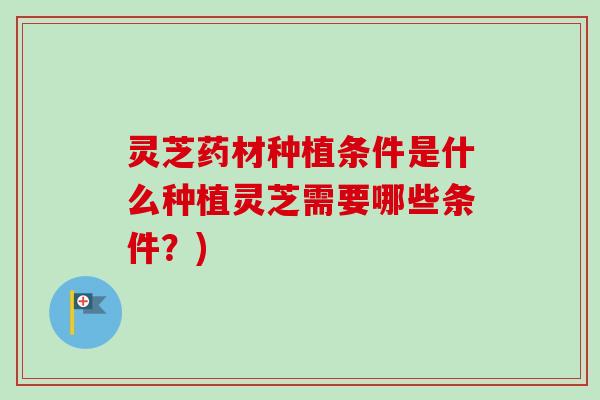 灵芝药材种植条件是什么种植灵芝需要哪些条件?) 灵芝药材种植条件是什么种植灵芝需要哪些条件?)