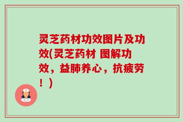 灵芝药材功效图片及功效(灵芝药材 图解功效,益养心,!) 灵芝药材功效图片及功效(灵芝药材 图解功效,益养心,!)