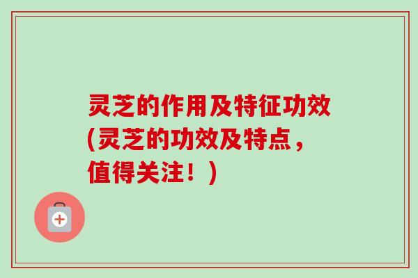 灵芝的作用及特征功效(灵芝的功效及特点，值得关注！)