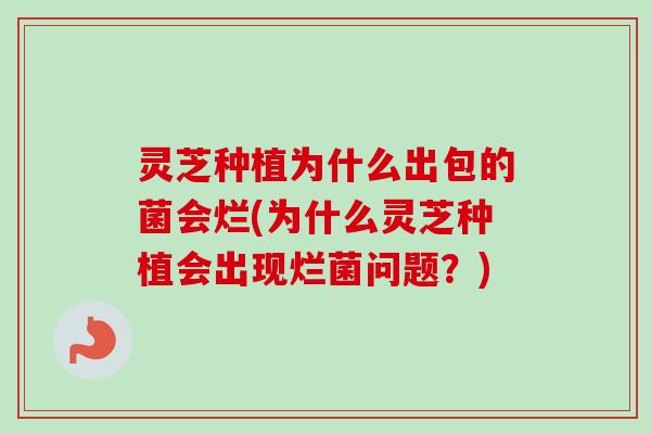 灵芝种植为什么出包的菌会烂(为什么灵芝种植会出现烂菌问题?) 灵芝种植为什么出包的菌会烂(为什么灵芝种植会出现烂菌问题?)