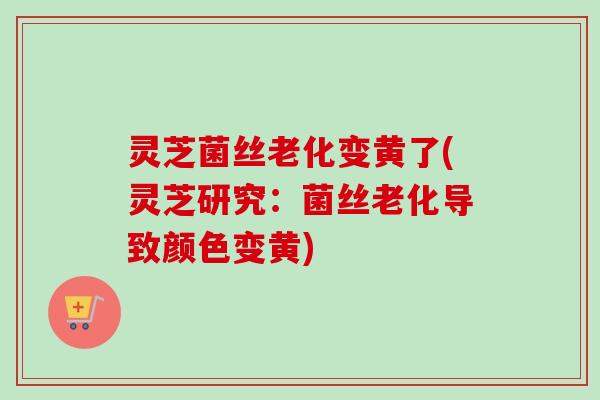 灵芝菌丝老化变黄了(灵芝研究:菌丝老化导致颜色变黄) 灵芝菌丝老化变黄了(灵芝研究:菌丝老化导致颜色变黄)