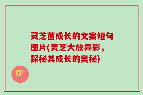 灵芝菌成长的文案短句图片(灵芝大放异彩,探秘其成长的奥秘) 灵芝菌成长的文案短句图片(灵芝大放异彩,探秘其成长的奥秘)
