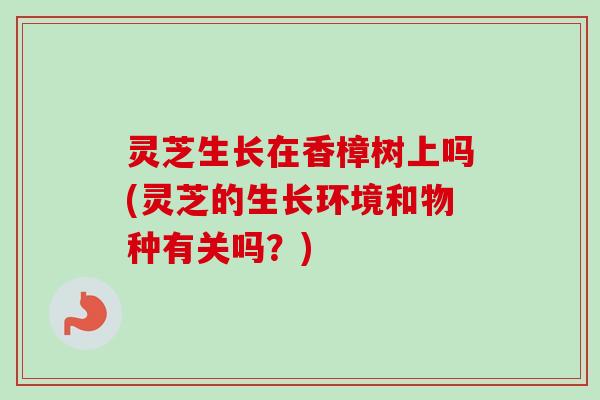 灵芝生长在香樟树上吗(灵芝的生长环境和物种有关吗?) 灵芝生长在香樟树上吗(灵芝的生长环境和物种有关吗?)