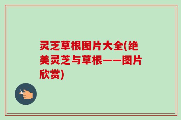 灵芝草根图片大全(绝美灵芝与草根——图片欣赏) 灵芝草根图片大全(绝美灵芝与草根——图片欣赏)