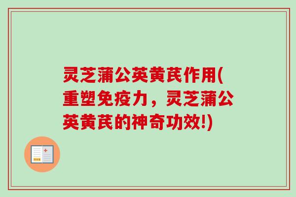 灵芝蒲公英黄芪作用(重塑免疫力,灵芝蒲公英黄芪的神奇功效!) 灵芝蒲公英黄芪作用(重塑免疫力,灵芝蒲公英黄芪的神奇功效!)