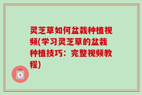 灵芝草如何盆栽种植视频(学习灵芝草的盆栽种植技巧:完整视频教程) 灵芝草如何盆栽种植视频(学习灵芝草的盆栽种植技巧:完整视频教程)