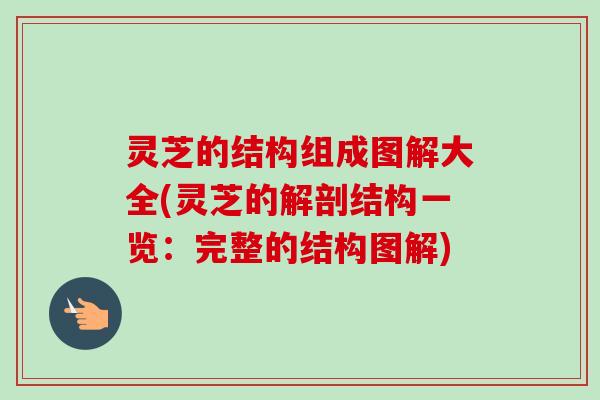 灵芝的结构组成图解大全(灵芝的解剖结构一览:完整的结构图解) 灵芝的结构组成图解大全(灵芝的解剖结构一览:完整的结构图解)