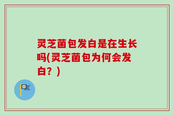 灵芝菌包发白是在生长吗(灵芝菌包为何会发白？)