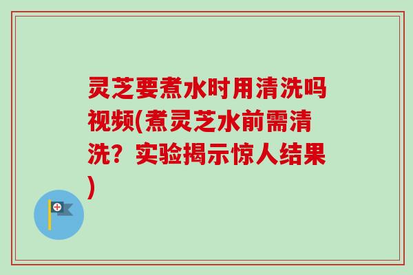 灵芝要煮水时用清洗吗视频(煮灵芝水前需清洗？实验揭示惊人结果)