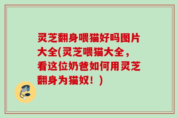 灵芝翻身喂猫好吗图片大全(灵芝喂猫大全,看这位奶爸如何用灵芝翻身为猫奴!) 灵芝翻身喂猫好吗图片大全(灵芝喂猫大全,看这位奶爸如何用灵芝翻身为猫奴!)